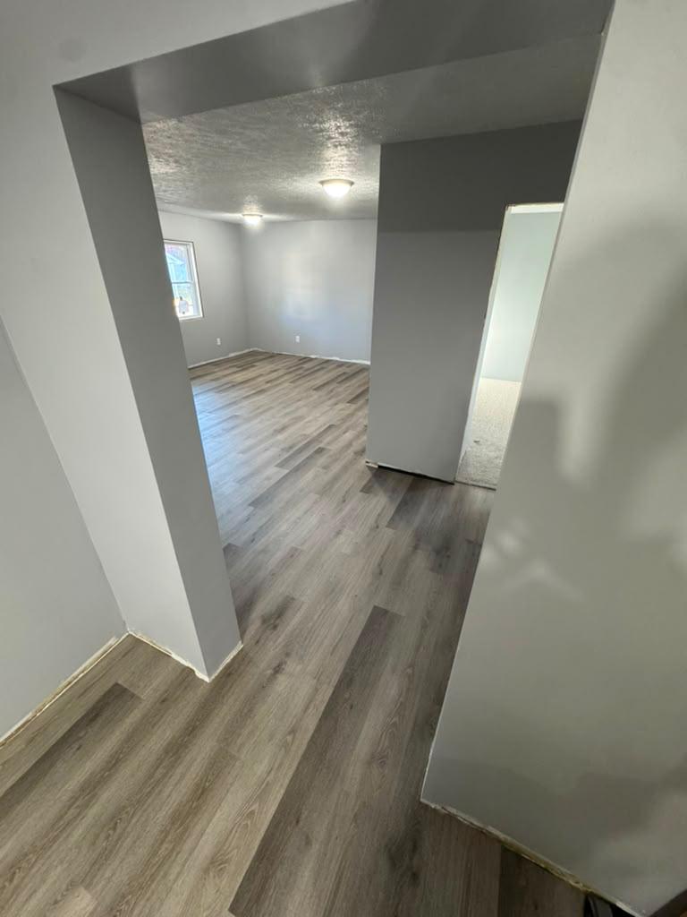 gray-vinyl-plank-flooring-open-concept-hallway
